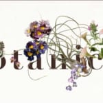 Botanicalmarket Vol.2